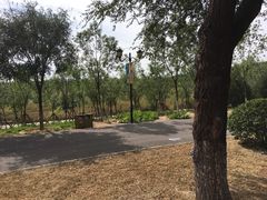 -永定河休闲森林公园