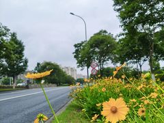 -九里河湿地公园