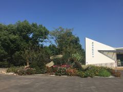 -上海滨江森林公园