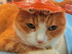 -高力乐面包咖啡厅(西塔店)