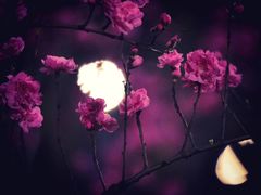 -爸爸糖吐司面包(常德万达店)