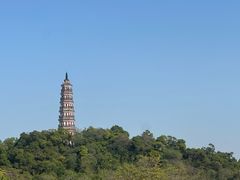 -顺峰山公园