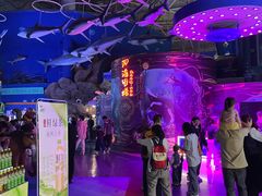 -烟台海昌鲸鲨海洋公园