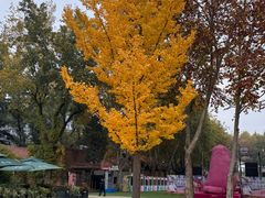 -西安电影制片厂