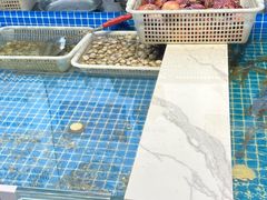 -大锅强·蒸海鲜青岛菜(吾悦广场店)