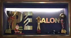 点击看大图 -PE SALON