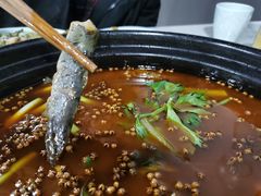 -满诗爷黄辣丁(金岛花园店)