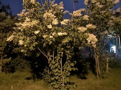 -长春公园(普阳街道)