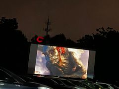 -枫花园汽车电影院(朝阳公园店)