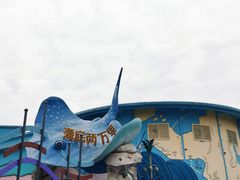 -海合安武汉极地海洋公园