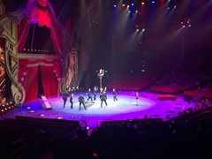 -珠海横琴长隆《卡卡虎奇遇记》