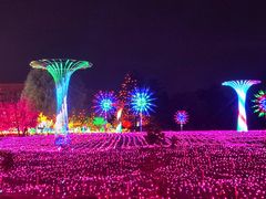 -国际非物质文化遗产博览园