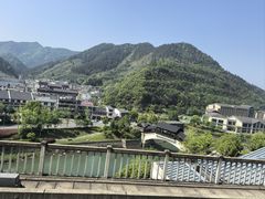 -浔味·山屿湖·正宗淳牌全鱼宴老字号