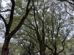 -上海大学(嘉定校区)