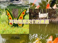 -三里河公园