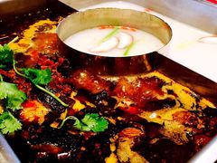 -新辣道鱼火锅(世纪金源购物中心店)