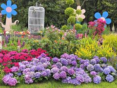 -上海共青森林公园