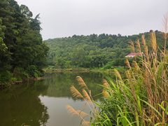 -团城山公园