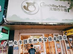 -龙猫仔乐园(惠福东路店)