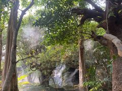 -Chom Cafe and Restaurant