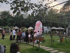 -三圣花乡旅游区