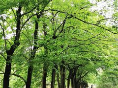 -国家植物园南园