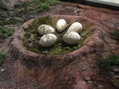 -湖南省地质博物馆