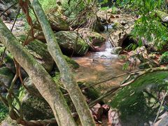 -赤水丹霞旅游区·佛光岩