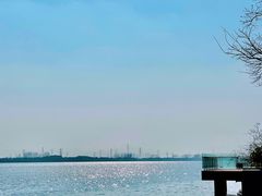 -漕湖湿地公园