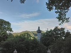 -鼎湖山风景区