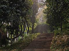 -龙头寺公园