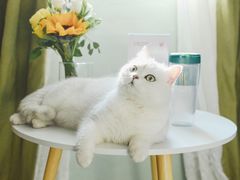 -缦云里花园餐厅