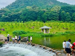 -广州市石门国家森林公园
