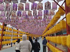 -青龙湖公园