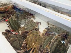 -重振华中蔬菜批发市场(重庆中路店)