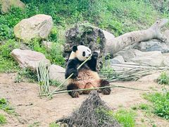 -宁波野生动物园