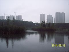 -昆山城市生态森林公园