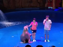 -烟台海昌鲸鲨海洋公园