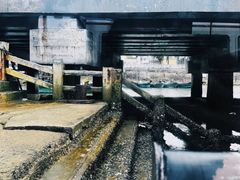 -硇洲岛旅游区