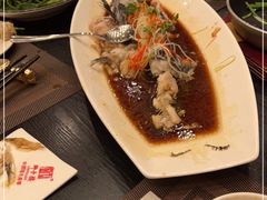-狮子楼(成都晨光大厦店)