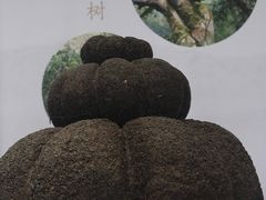 -中国茶叶博物馆(双峰馆区)