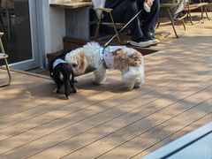 -小意思咖啡店(草桥店)