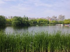 -新江湾城公园