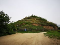 -明秦王墓遗址