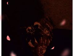 -东方大班·足道·采耳·疗愈SPA(丽都店)