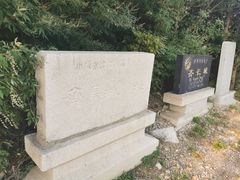 -原山国家森林公园