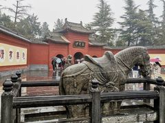 -洛阳白马寺