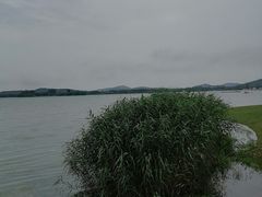 -蠡湖大桥公园