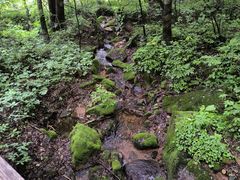 -五女峰国家森林公园