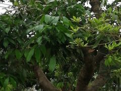 -南通洲际绿博园